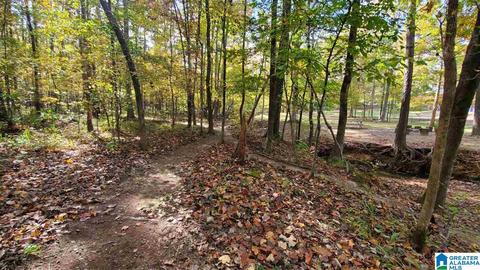 144 Silverleaf Dr, Pelham, AL 35124 photo 46