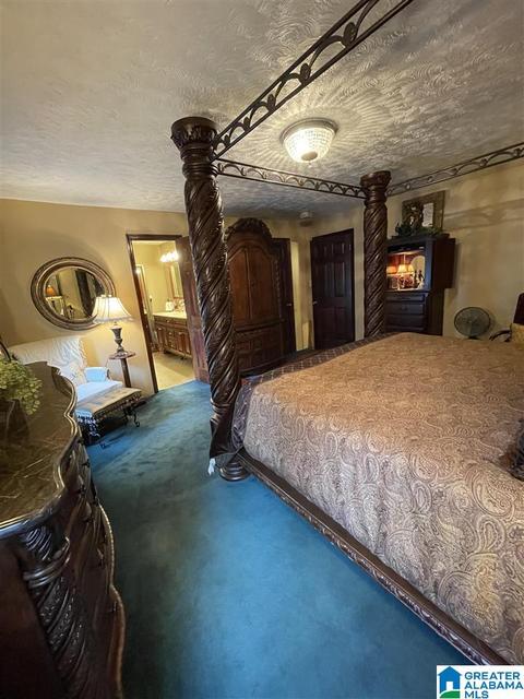 8729 County Road 24, Clanton, AL 35045 photo 43