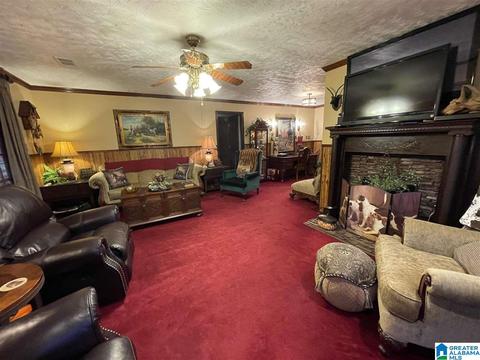 8729 County Road 24, Clanton, AL 35045 photo 39
