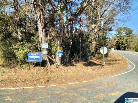 2185 Skyline Dr, Warrior, AL 35180 photo 13