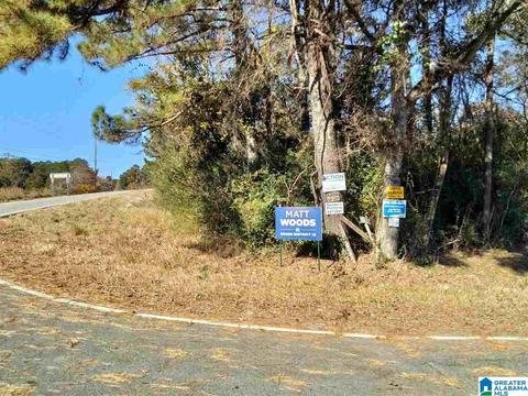 2185 Skyline Dr, Warrior, AL 35180 photo 14
