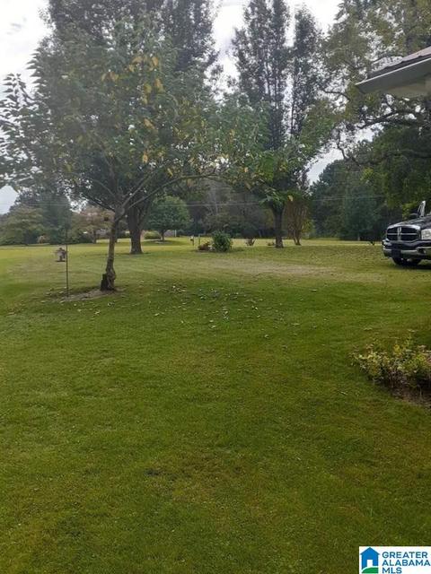 2185 Skyline Dr, Warrior, AL 35180 photo 5
