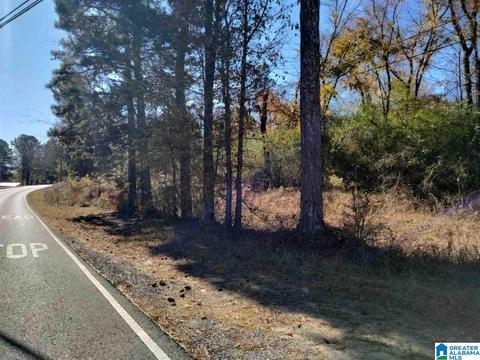 2185 Skyline Dr, Warrior, AL 35180 photo 4