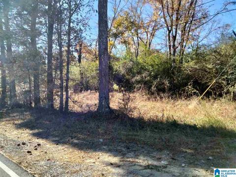 2185 Skyline Dr, Warrior, AL 35180 photo 11