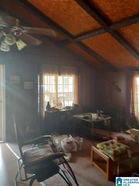 2185 Skyline Dr, Warrior, AL 35180 photo 6