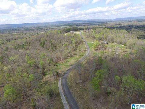 Stone Ridge Drive Lot 3, Springville, AL 35146