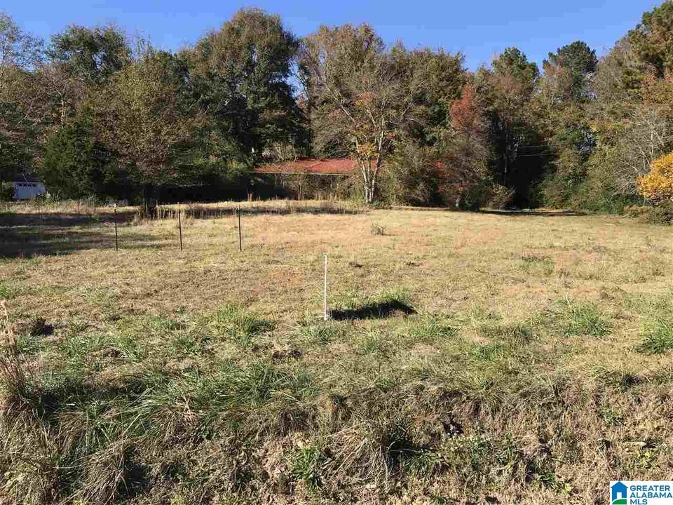 2501 Cahaba Valley Road 58 Acres 5.8 +/ ACRES, Indian Springs