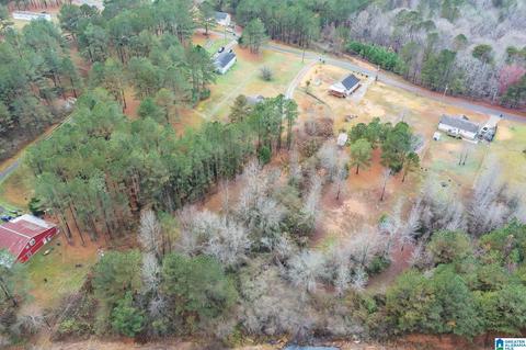 475 Commissary Rd, Warrior, AL 35180 photo 17