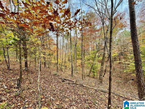 0 Mjhs Bone Dry Rd #1, Warrior, AL 35091