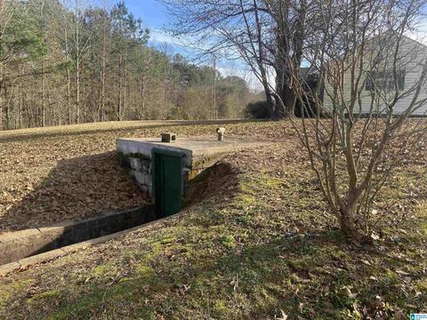 10896 Highway 269, Parrish, AL 35580 photo 18