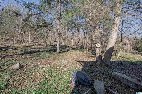 19035 Remlap Dr, Remlap, AL 35133 photo 47