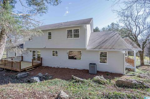 19035 Remlap Dr, Remlap, AL 35133 photo 46