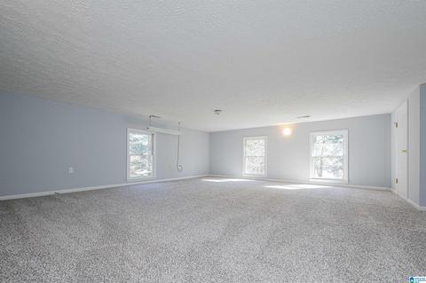 19035 Remlap Dr, Remlap, AL 35133 photo 27