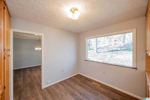 19035 Remlap Dr, Remlap, AL 35133 photo 19