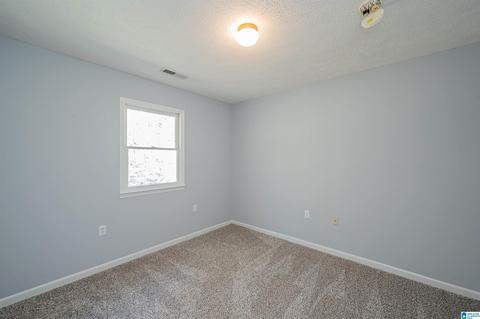 19035 Remlap Dr, Remlap, AL 35133 photo 35