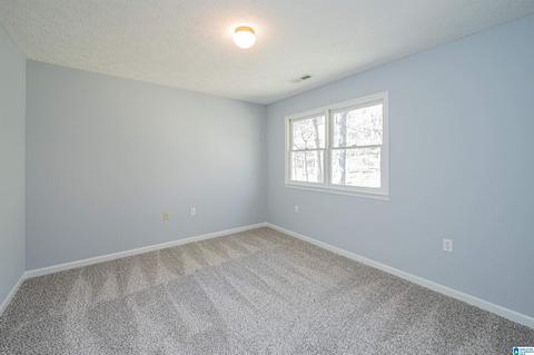 19035 Remlap Dr, Remlap, AL 35133 photo 39