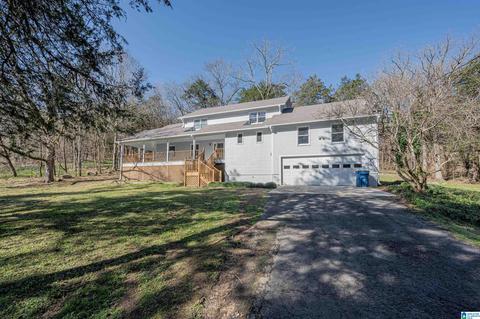19035 Remlap Dr, Remlap, AL 35133 photo 2