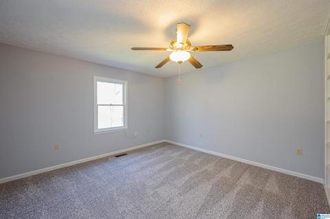 19035 Remlap Dr, Remlap, AL 35133 photo 25