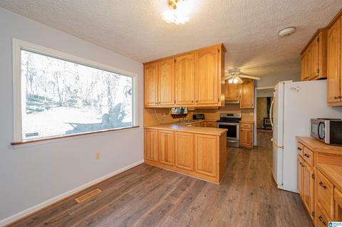 19035 Remlap Dr, Remlap, AL 35133 photo 18