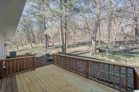 19035 Remlap Dr, Remlap, AL 35133 photo 45