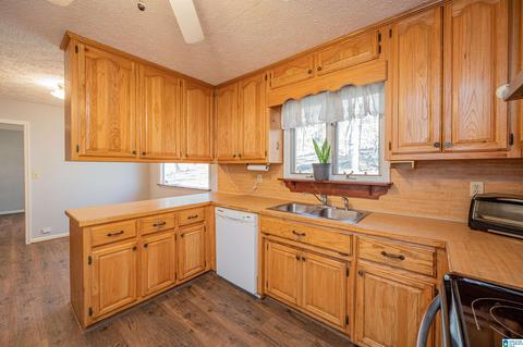 19035 Remlap Dr, Remlap, AL 35133 photo 14