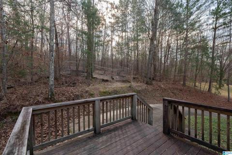 556 Red Valley Rd, Remlap, AL 35133 photo 34