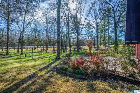 8969 County Road 434, Trinity, AL 35673 photo 4