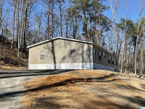 1084 Pine Mountain Rd, Remlap, AL 35133 photo 23