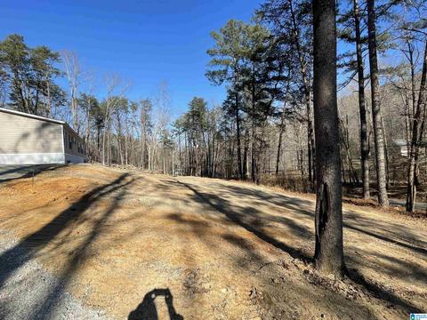 1084 Pine Mountain Rd, Remlap, AL 35133 photo 24