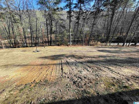1084 Pine Mountain Rd, Remlap, AL 35133 photo 29