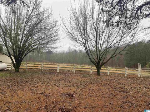 1908 Morton Rd, Warrior, AL 35180 photo 4