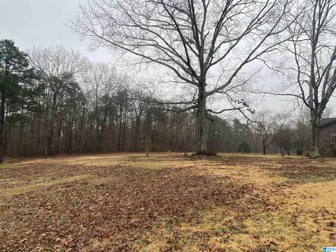 1908 Morton Rd, Warrior, AL 35180 photo 3