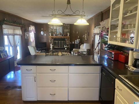 1908 Morton Rd, Warrior, AL 35180 photo 10