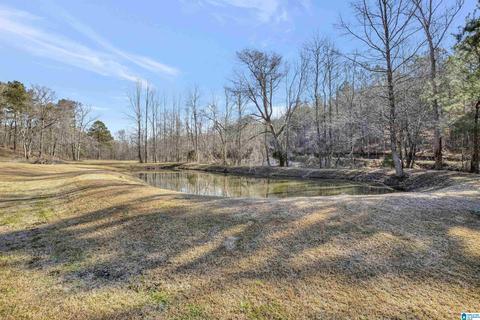 4580 Tucker Mountain Rd, Remlap, AL 35133 photo 5