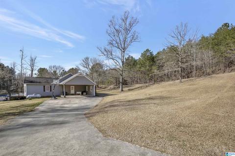4580 Tucker Mountain Rd, Remlap, AL 35133 photo 38
