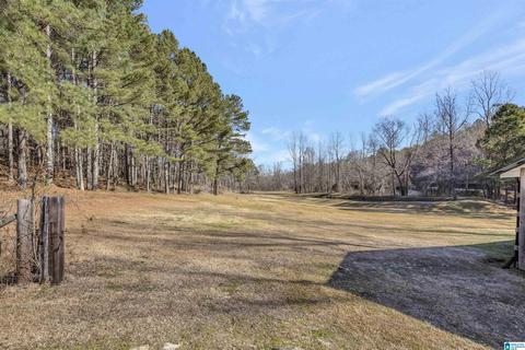 4580 Tucker Mountain Rd, Remlap, AL 35133 photo 35