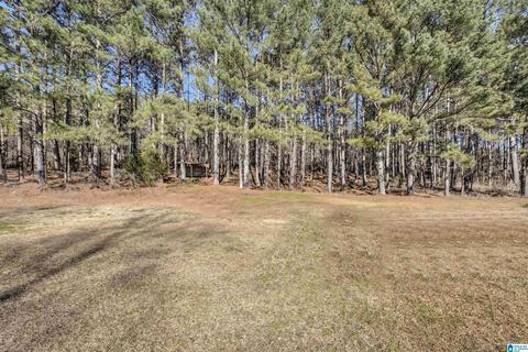 4580 Tucker Mountain Rd, Remlap, AL 35133 photo 8
