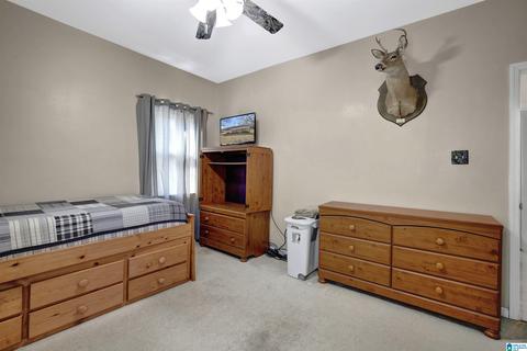 4580 Tucker Mountain Rd, Remlap, AL 35133 photo 34