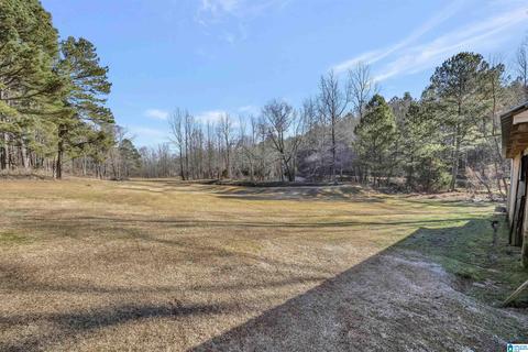 4580 Tucker Mountain Rd, Remlap, AL 35133 photo 3