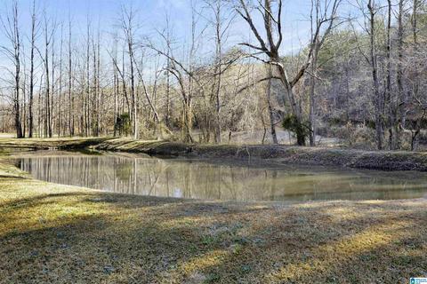 4580 Tucker Mountain Rd, Remlap, AL 35133 photo 6