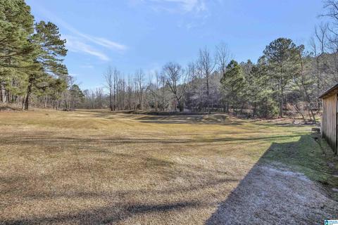 4580 Tucker Mountain Rd, Remlap, AL 35133 photo 4