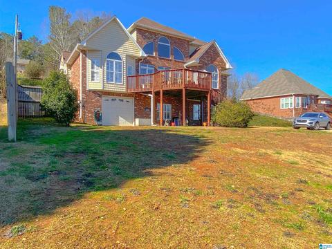 1030 Lock 4 Rd, Riverside, AL 35135 photo 46