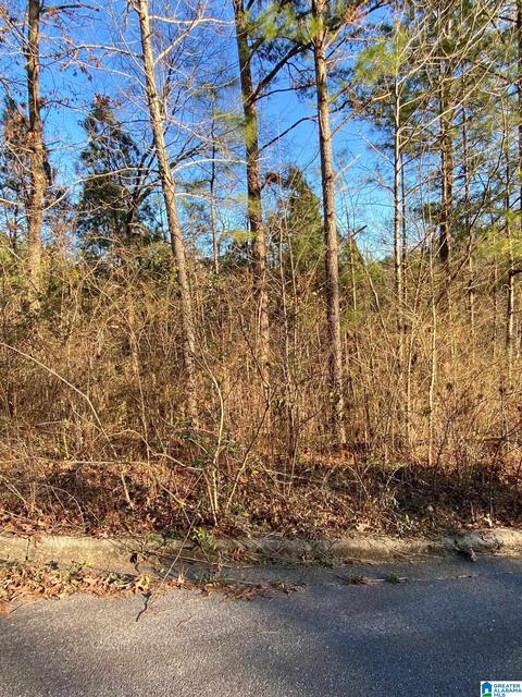 0 Woodland Hills Dr #2 AND 3, Springville, AL 35146