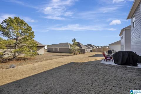 9969 Hunter Pl, Warrior, AL 35180 photo 5