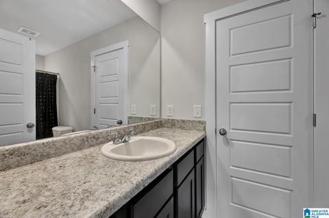 9969 Hunter Pl, Warrior, AL 35180 photo 34