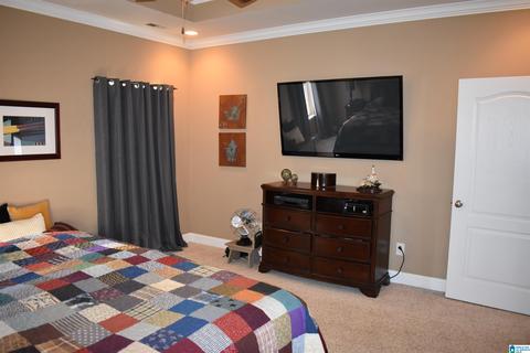 13812 Ginger Dr, Mc Calla, AL 35111 photo 13