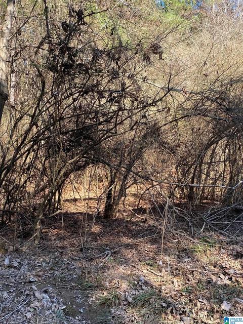 0 Crestwood Rd #116, Talladega, AL 35160