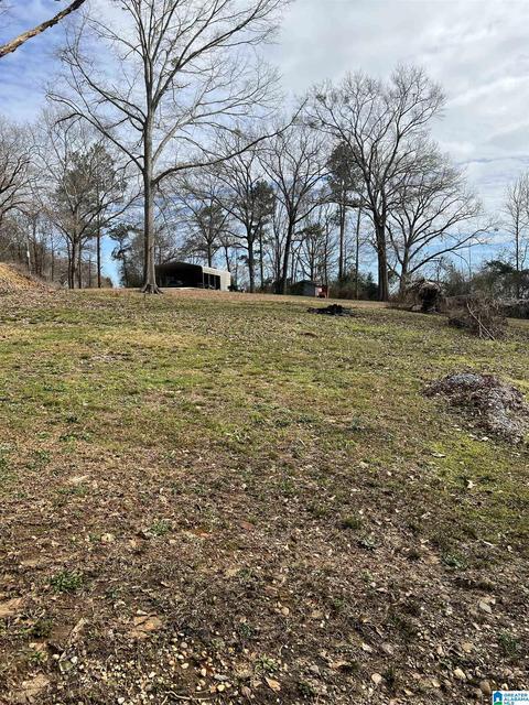 206 County Road 497, Clanton, AL 35046 photo 27