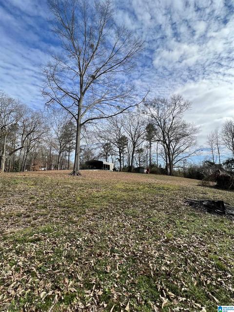 206 County Road 497, Clanton, AL 35046 photo 23