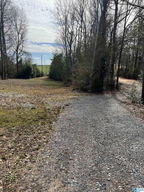206 County Road 497, Clanton, AL 35046 photo 28
